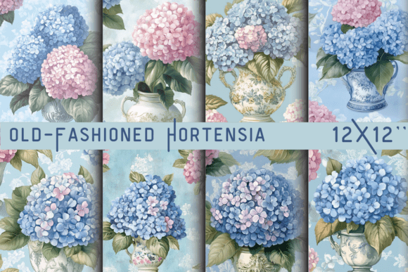 Download Old-Fashioned Hortensia Blossom Backdrop - Blossom Collection